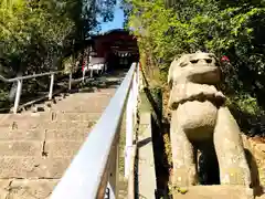 宮崎天満宮の狛犬