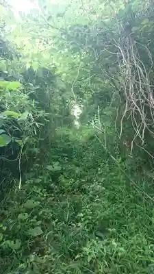 白山神社の周辺