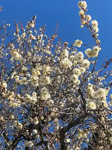 大恩寺(愛知県)