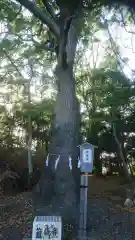 白山神社の自然