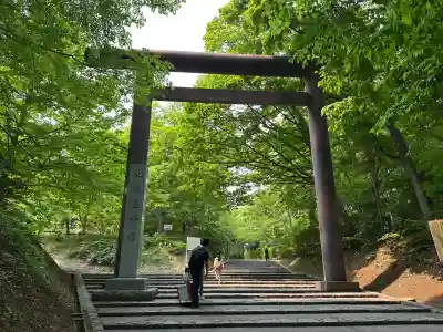 北海道神宮の鳥居