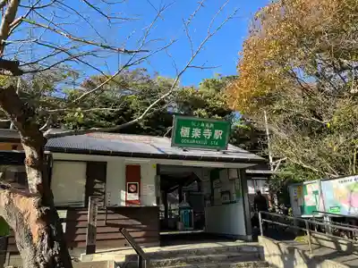 極楽寺（霊鷲山感應院極楽律寺）の周辺