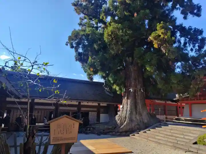 春日大社(奈良県)