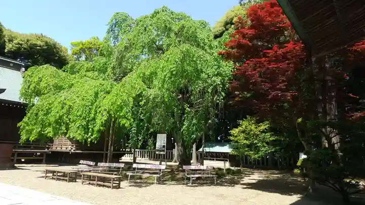 常陸第三宮 吉田神社(茨城県)