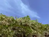 松應寺(愛知県)