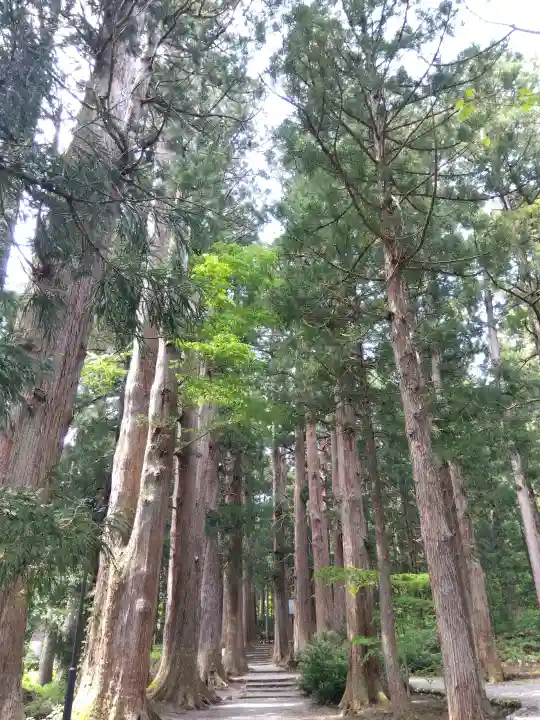 雄山神社中宮祈願殿の{uncategorized: "未分類", other: "その他", undefined: "問題あり", building: "その他建物", grave: "お墓", sacred_gate: "鳥居", guardian: "狛犬", statue: "像", buddha: "仏像", history: "歴史", nature: "自然", garden: "庭園", animal: "動物", pagoda: "塔", temizu: "手水舎", mountain_gate: "山門・神門", sanctuary: "本殿・本堂", subordinate: "末社・摂社", art: "芸術", scenery: "景色", jizo: "地蔵", ema: "絵馬", goshuin: "御朱印", omikuji: "おみくじ", items: "授与品その他", amulet: "お守り", goshuincho: "御朱印帳", eats: "食事", festival: "お祭り", votive_dance: "神楽", shichigosan: "七五三参", wedding: "結婚式", experience: "体験その他", initially: "初詣", around: "周辺", anti_infection: "感染症対策"}