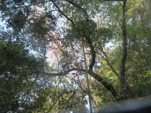 篠原八幡神社(神奈川県)