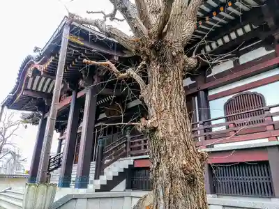 妙道寺の本殿・本堂