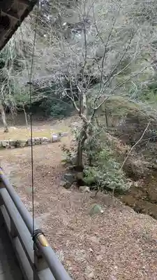 ながら茶房 本寿院(滋賀県)