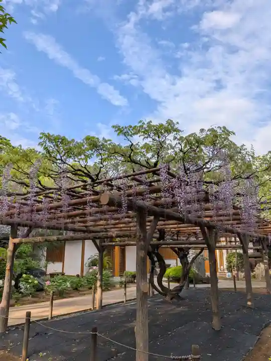 愛染院(東京都)