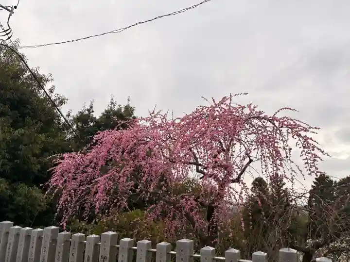 針綱神社の{uncategorized: "未分類", other: "その他", undefined: "問題あり", building: "その他建物", grave: "お墓", sacred_gate: "鳥居", guardian: "狛犬", statue: "像", buddha: "仏像", history: "歴史", nature: "自然", garden: "庭園", animal: "動物", pagoda: "塔", temizu: "手水舎", mountain_gate: "山門・神門", sanctuary: "本殿・本堂", subordinate: "末社・摂社", art: "芸術", scenery: "景色", jizo: "地蔵", ema: "絵馬", goshuin: "御朱印", omikuji: "おみくじ", items: "授与品その他", amulet: "お守り", goshuincho: "御朱印帳", eats: "食事", festival: "お祭り", votive_dance: "神楽", shichigosan: "七五三参", wedding: "結婚式", experience: "体験その他", initially: "初詣", around: "周辺", anti_infection: "感染症対策"}