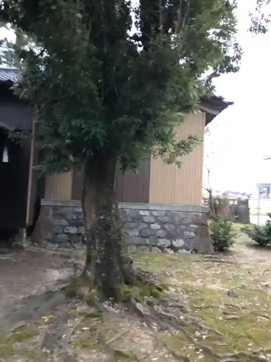 兔橋神社の自然