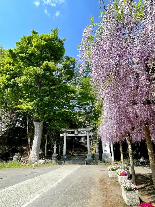 日吉神社の{uncategorized: "未分類", other: "その他", undefined: "問題あり", building: "その他建物", grave: "お墓", sacred_gate: "鳥居", guardian: "狛犬", statue: "像", buddha: "仏像", history: "歴史", nature: "自然", garden: "庭園", animal: "動物", pagoda: "塔", temizu: "手水舎", mountain_gate: "山門・神門", sanctuary: "本殿・本堂", subordinate: "末社・摂社", art: "芸術", scenery: "景色", jizo: "地蔵", ema: "絵馬", goshuin: "御朱印", omikuji: "おみくじ", items: "授与品その他", amulet: "お守り", goshuincho: "御朱印帳", eats: "食事", festival: "お祭り", votive_dance: "神楽", shichigosan: "七五三参", wedding: "結婚式", experience: "体験その他", initially: "初詣", around: "周辺", anti_infection: "感染症対策"}