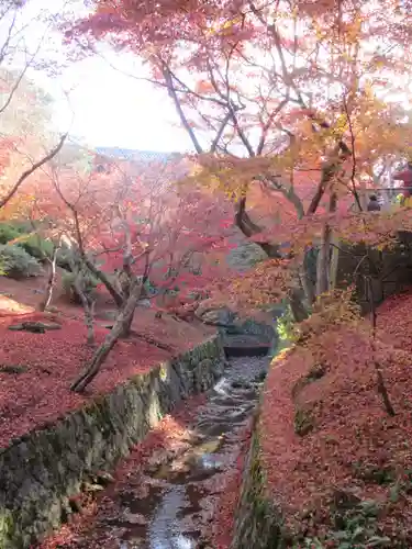 東福禅寺（東福寺）(京都府)