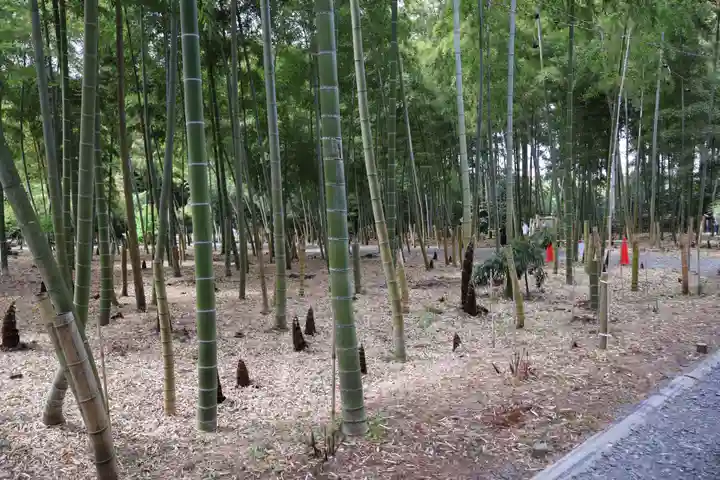 芳賀天満宮(栃木県)