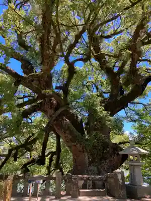 與止日女神社(佐賀県)