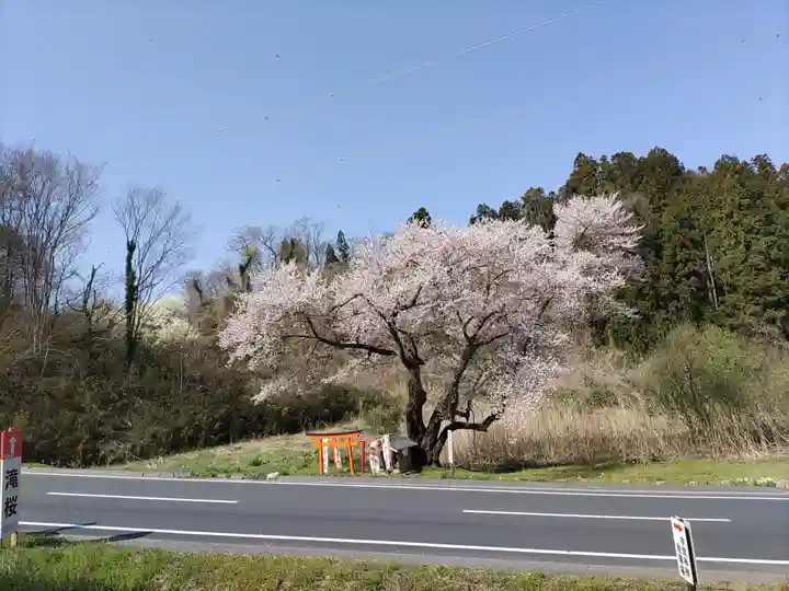 宇賀神さま(福島県)
