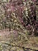 城南宮(京都府)