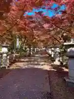 高山寺(兵庫県)