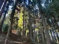 大宮温泉神社(栃木県)