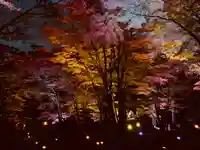 土津神社|こどもと出世の神さまの庭園