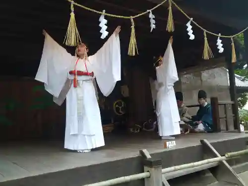 阿智神社の神楽