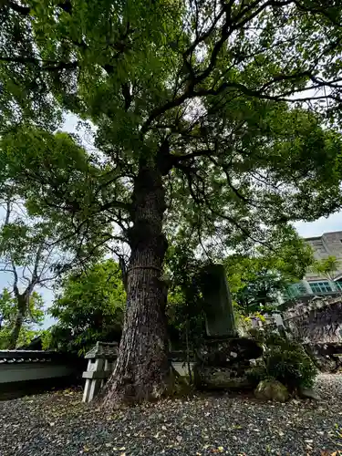 見河山　妙雲寺(京都府)