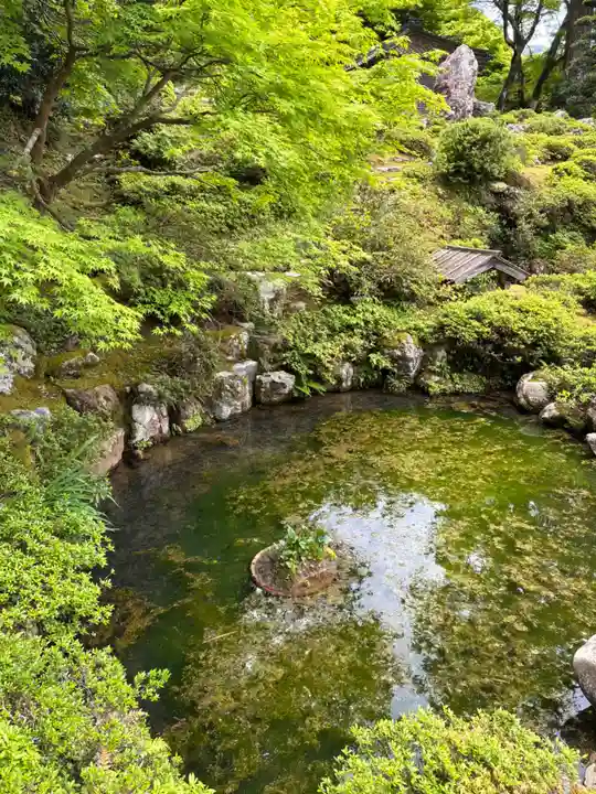 萬徳寺(福井県)