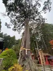 北口本宮冨士浅間神社(山梨県)