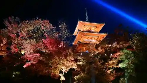 清水寺の{uncategorized: "未分類", other: "その他", undefined: "問題あり", building: "その他建物", grave: "お墓", sacred_gate: "鳥居", guardian: "狛犬", statue: "像", buddha: "仏像", history: "歴史", nature: "自然", garden: "庭園", animal: "動物", pagoda: "塔", temizu: "手水舎", mountain_gate: "山門・神門", sanctuary: "本殿・本堂", subordinate: "末社・摂社", art: "芸術", scenery: "景色", jizo: "地蔵", ema: "絵馬", goshuin: "御朱印", omikuji: "おみくじ", items: "授与品その他", amulet: "お守り", goshuincho: "御朱印帳", eats: "食事", festival: "お祭り", votive_dance: "神楽", shichigosan: "七五三参", wedding: "結婚式", experience: "体験その他", initially: "初詣", around: "周辺", anti_infection: "感染症対策"}