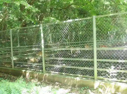 鹿島神宮(茨城県)