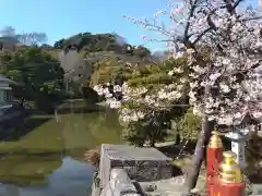 鶴岡八幡宮(神奈川県)