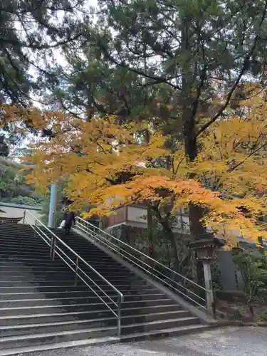 大神神社(奈良県)