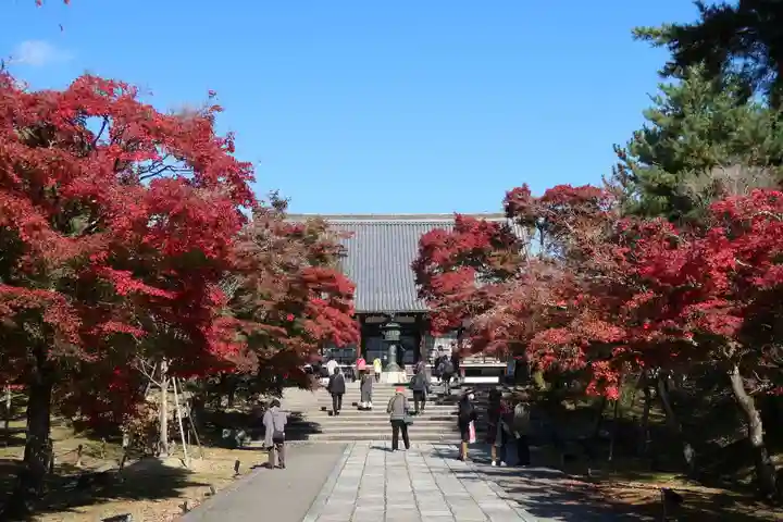 仁和寺のその他建物