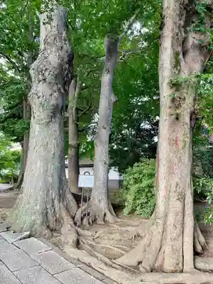 大聖院(茨城県)