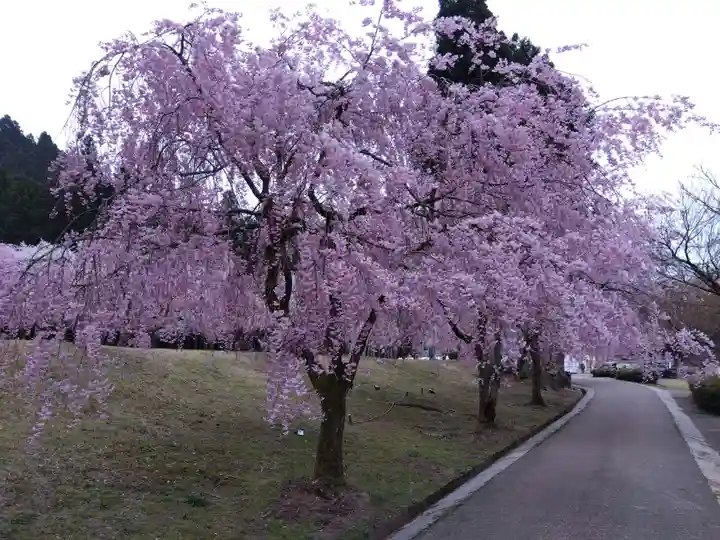 日吉神社の自然