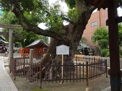 阿遅速雄神社の庭園