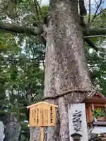 吉祥草寺の自然
