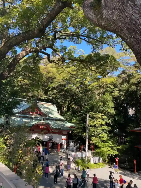 來宮神社(静岡県)