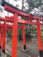 富良野神社の鳥居