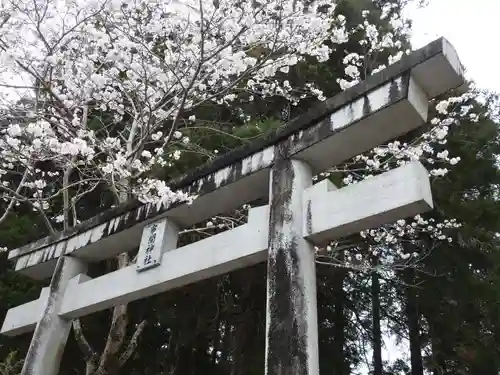 串間神社(宮崎県)