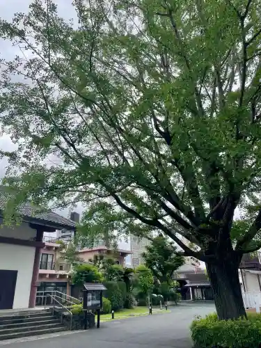 西光寺(東京都)