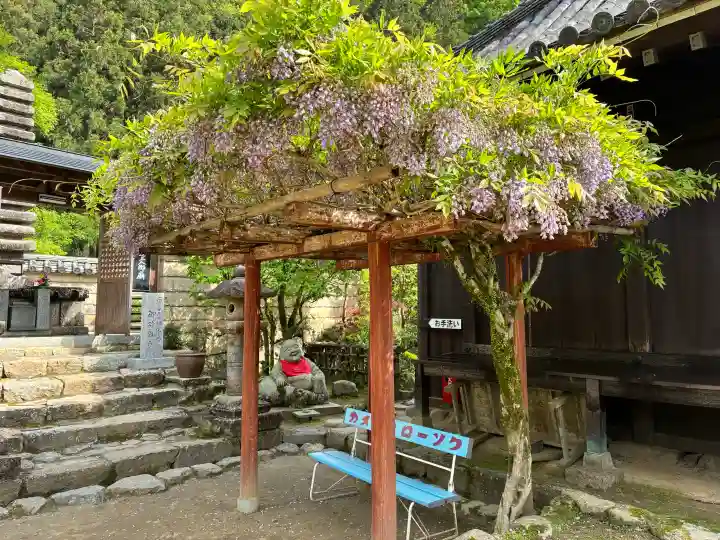 法起院の{uncategorized: "未分類", other: "その他", undefined: "問題あり", building: "その他建物", grave: "お墓", sacred_gate: "鳥居", guardian: "狛犬", statue: "像", buddha: "仏像", history: "歴史", nature: "自然", garden: "庭園", animal: "動物", pagoda: "塔", temizu: "手水舎", mountain_gate: "山門・神門", sanctuary: "本殿・本堂", subordinate: "末社・摂社", art: "芸術", scenery: "景色", jizo: "地蔵", ema: "絵馬", goshuin: "御朱印", omikuji: "おみくじ", items: "授与品その他", amulet: "お守り", goshuincho: "御朱印帳", eats: "食事", festival: "お祭り", votive_dance: "神楽", shichigosan: "七五三参", wedding: "結婚式", experience: "体験その他", initially: "初詣", around: "周辺", anti_infection: "感染症対策"}