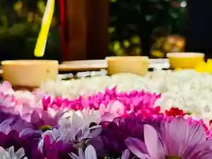 土津神社|こどもと出世の神さまの手水舎(2023年10月25日(水) 12時53分56秒投稿)