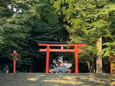 霧島神宮(鹿児島県)