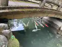 三輪神社(岐阜県)