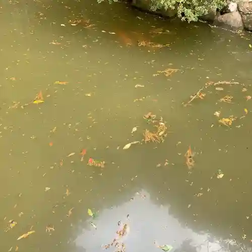 日神社(和歌山県)