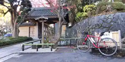 報国寺(神奈川県)