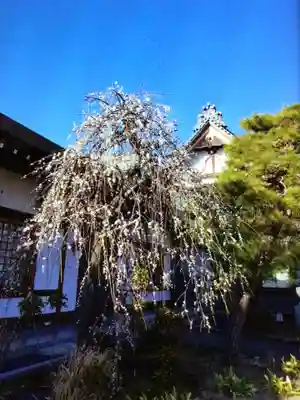 瑞円寺(東京都)
