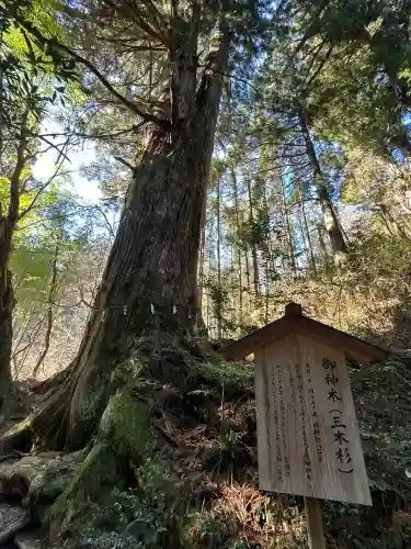 花園神社(茨城県)